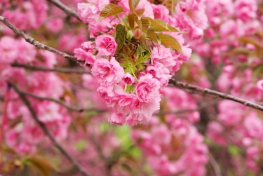 南通如东5线下个人借款平台一站式服务，轻松解决资金难题
