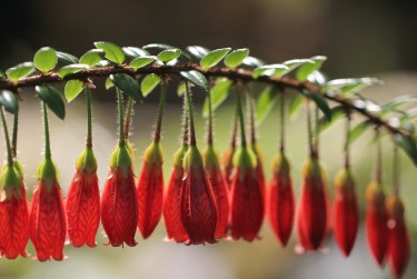 南通如东5零用贷短借：轻松解决临时资金需求