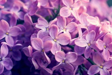 南通如东5企业急用钱贷款攻略：快速融资解燃眉之急